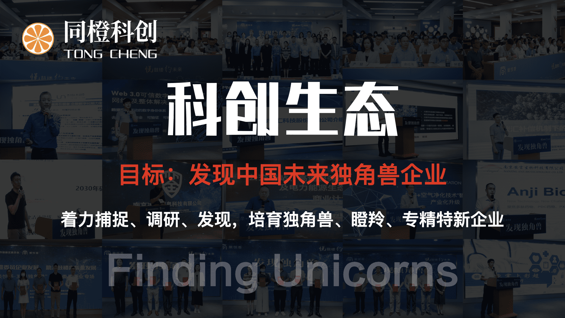 开放生态 同成发展